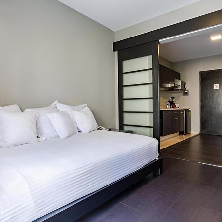 Suites Giorgio Mexico City Luaran gambar